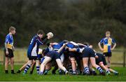 14 January 2019; Both side's contest a scrum during the Bank of Ireland Fr. Godfrey Cup Round 1 match between CBS Naas and Salesian College at Cill Dara RFC in Kildare. Photo by Eóin Noonan/Sportsfile