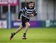 14 January 2019; Niall O'Sullivan of Cistercian College Roscrea during the Bank of Ireland Fr. Godfrey Cup Round 1 match between Catholic University School and Cistercian College Roscrea at Energia Park in Dublin. Photo by Harry Murphy/Sportsfile