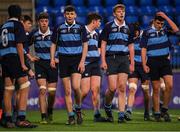 14 January 2019; Newpark Comprehensive School players reacts to conceding a try during the Bank of Ireland Fr. Godfrey Cup Round 1 match between The High School and Newpark Comprehensive at Energia Park in Dublin. Photo by Harry Murphy/Sportsfile
