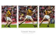 Tommy Walsh, Hurling, Legends Series.