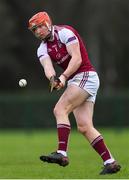 20 January 2019; Conor Whelan of NUI Galway during the Electric Ireland Fitzgibbon Cup Round 1 match between University College Dublin and NUI Galway at Billings Park in UCD, Belfield, Dublin. Photo by Piaras Ó Mídheach/Sportsfile
