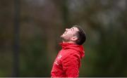 21 January 2019; JJ Hanrahan during Munster Rugby squad training at the University of Limerick in Limerick. Photo by Piaras Ó Mídheach/Sportsfile