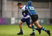 21 January 2019; James Light of St Andrew's College is tackled by Brian Cushe of Gorey Community School during the Bank of Ireland Fr. Godfrey Cup 2nd Round match between St Andrews College and Gorey Community School at Energia Park in Dublin. Photo by Sam Barnes/Sportsfile