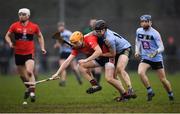 23 January 2019; Eddie Gunning of UCC in action against Sean Carey of UCD during the Electric Ireland Fitzgibbon Cup Group A Round 2 match between University College Cork and University College Dublin at Mardyke in Cork. Photo by Stephen McCarthy/Sportsfile