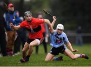 23 January 2019; Mark Coleman of UCC in action against Michael Purcell of UCD during the Electric Ireland Fitzgibbon Cup Group A Round 2 match between University College Cork and University College Dublin at Mardyke in Cork. Photo by Stephen McCarthy/Sportsfile