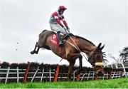 24 January 2019; The Big Dog, with David Mullins up, jump the last on their way to winning the Connolly's RED MILLS Irish EBF Auction Maiden Hurdle during Gowran Park Racing at Gowran Park Racecourse in Kilkenny. Photo by Matt Browne/Sportsfile