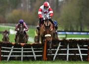 24 January 2019; The Big Dog, with David Mullins up, jump the last on their way to winning the Connolly's RED MILLS Irish EBF Auction Maiden Hurdle during Gowran Park Racing at Gowran Park Racecourse in Kilkenny. Photo by Matt Browne/Sportsfile