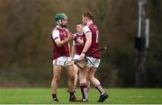 24 January 2019; Evan Niland shakes hands with Conor Whelan of N.U.I. Galway following the Electric Ireland Fitzgibbon Cup Group A Round 2 match between  N.U.I. Galway and University of Limerick at the National University of Ireland in Galway. Photo by Harry Murphy/Sportsfile