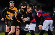 29 January 2019; Action from the Bank of Ireland Half-Time Minis between Carlow RFC and Clontarf RFC at the Guinness PRO14 Round 14 match between Leinster and Scarlets at the RDS Arena in Dublin. Photo by Piaras Ó Mídheach/Sportsfile