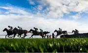 26 January 2019; Runners and riders jump the last, first time round, during the novice hurdle at Fairyhouse Racecourse in Ratoath, Co. Meath. Photo by Ramsey Cardy/Sportsfile