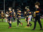 25 January 2019; Action from the Bank of Ireland Half-Time Minis between Newbridge RFC and Skerries RFC at the Guinness PRO14 Round 14 match between Leinster and Scarlets at the RDS Arena in Dublin. Photo by Harry Murphy/Sportsfile