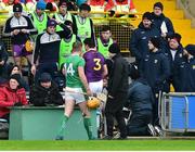27 January 2019; Liam Ryan of Wexford and Seamus Flanagan of Limerick make their way back to the stand after being sent off by referee Fergal Horgan during the Allianz Hurling League Division 1A Round 1 match between Wexford and Limerick at Innovate Wexford Park in Wexford. Photo by Matt Browne/Sportsfile