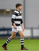 31 January 2019; Rory Dwyer of Belvedere College during the Bank of Ireland Leinster Schools Senior Cup Round 1 match between Belvedere College and Cistercian College Roscrea at Energia Park in Dublin. Photo by Eóin Noonan/Sportsfile