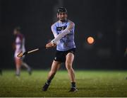 31 January 2019; Ronan Hayes of UCD during the Electric Ireland Fitzgibbon Cup Group A Round 3 match between University College Dublin and University of Limerick at Billings Park in Belfield, Dublin. Photo by Stephen McCarthy/Sportsfile