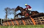 2 February 2019; Apple's Jade, with Jack Kennedy up, jump the last on their way to winning the BHP Insurance Irish Champion Hurdle during Day One of the Dublin Racing Festival at Leopardstown Racecourse in Dublin. Photo by Seb Daly/Sportsfile