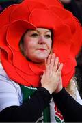 2 February 2019; An England supporter during the Guinness Six Nations Rugby Championship match between Ireland and England in the Aviva Stadium in Dublin. Photo by Brendan Moran/Sportsfile