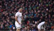 2 February 2019; Tom Curry of England during the Guinness Six Nations Rugby Championship match between Ireland and England in the Aviva Stadium in Dublin. Photo by David Fitzgerald/Sportsfile