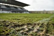 3 February 2019; A detailed view of the pitch ahead of the Allianz Football League Division 2 Round 2 match between Cork and Kildare at Páirc Uí Chaoimh in Cork. Photo by Eóin Noonan/Sportsfile