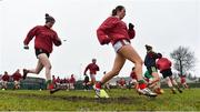 3 February 2019; Mayo players warm up ahead of the Lidl Ladies Football National League Division 1 Round 1 match between Mayo and Tipperary at Swinford Amenity Park in Swinford, Co. Mayo. Photo by Sam Barnes/Sportsfile
