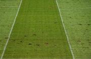 3 February 2019; A general view of the pitch ahead of the Allianz Hurling League Division 1A Round 2 match between Cork and Wexford at Páirc Uí Chaoimh in Cork. Photo by Eóin Noonan/Sportsfile