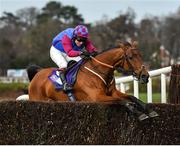3 February 2019; La Bague Au Roi, with Richard Johnson up, jumps the last on their way to winning the Flogas Novice Steeplechase during Day Two of the Dublin Racing Festival at Leopardstown Racecourse in Dublin. Photo by Seb Daly/Sportsfile