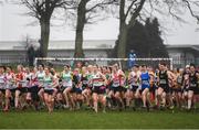 3 February 2019; A general view of runners during the Irish Life Health National Intermediate, Master, Juvenile B & Relays Cross Country at Dundalk IT in Dundalk, Co. Louth Photo by Harry Murphy/Sportsfile