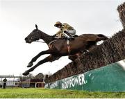 3 February 2019; Bellshill, with Ruby Walsh up, jumps the last during the first circuit on their way to winning the Unibet Irish Gold Cup during Day Two of the Dublin Racing Festival at Leopardstown Racecourse in Dublin. Photo by Seb Daly/Sportsfile