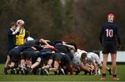 5 February 2019; Both side's contest a scrum during the Bank of Ireland Leinster Schools Junior Cup Round 1 match between Wesley College and Presentation College Bray at Kirwan Park in Dublin. Photo by Eóin Noonan/Sportsfile