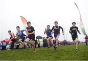 3 February 2019; A general view of the start of the Boys U14 4x500m relay during the Irish Life Health National Intermediate, Master, Juvenile B & Relays Cross Country at Dundalk IT in Dundalk, Co. Louth Photo by Harry Murphy/Sportsfile