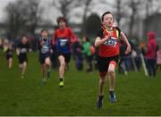 3 February 2019; Tommy Arthur of Kenmare AC Co. Kerry, competing in the Boys U15 2500m during the Irish Life Health National Intermediate, Master, Juvenile B & Relays Cross Country at Dundalk IT in Dundalk, Co. Louth Photo by Harry Murphy/Sportsfile