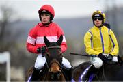 3 February 2019; Cut The Mustard, with Ruby Walsh up, during Day Two of the Dublin Racing Festival at Leopardstown Racecourse in Dublin. Photo by Ramsey Cardy/Sportsfile