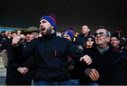 9 February 2019; St Thomas' fans react during the AIB GAA Hurling All-Ireland Senior Championship Semi-Final match between St Thomas' and Ruairí Óg at Parnell Park in Dublin. Photo by David Fitzgerald/Sportsfile