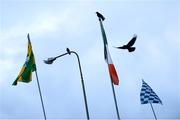 9 February 2019; A Kerry, Ireland, and Dublin flag outside Austin Stack park prior to the Allianz Football League Division 1 Round 3 match between Kerry and Dublin at Austin Stack Park in Tralee, Co. Kerry. Photo by Diarmuid Greene/Sportsfile