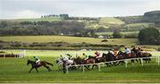 10 February 2019; Runners and riders in action during the PP Hogan Memorial Cross Country Steeplechase at Punchestown Racecourse in Naas, Co. Kildare. Photo by David Fitzgerald/Sportsfile