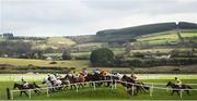 10 February 2019; Runners and riders in action during the PP Hogan Memorial Cross Country Steeplechase at Punchestown Racecourse in Naas, Co. Kildare. Photo by David Fitzgerald/Sportsfile