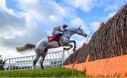 10 February 2019; Ballycasey, with Patrick Mullins, up, jump the last during the PP Hogan Memorial Cross Country Steeplechase at Punchestown Racecourse in Naas, Co. Kildare. Photo by David Fitzgerald/Sportsfile