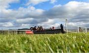 10 February 2019; Take Revenge, with Donal McInerney, up, left, jump the last ahead of eventual second place finisher Discordantly, with Robbie Power, up, on their way to winning the Punchestown Festival Ticket Deal Discount Maiden Hurdle at Punchestown Racecourse in Naas, Co. Kildare. Photo by David Fitzgerald/Sportsfile