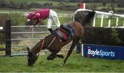 10 February 2019; Monatomic, with Jack Kennedy, up, fall at the last during Richard Maher Memorial Rated Novice Steeplechase at Punchestown Racecourse in Naas, Co. Kildare. Photo by David Fitzgerald/Sportsfile