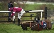 10 February 2019; Monatomic, with Jack Kennedy, up, fall at the last during Richard Maher Memorial Rated Novice Steeplechase at Punchestown Racecourse in Naas, Co. Kildare. Photo by David Fitzgerald/Sportsfile