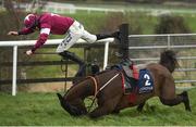 10 February 2019; Monatomic, with Jack Kennedy, up, fall at the last during Richard Maher Memorial Rated Novice Steeplechase at Punchestown Racecourse in Naas, Co. Kildare. Photo by David Fitzgerald/Sportsfile