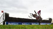 10 February 2019; Monatomic, with Jack Kennedy, up, fall at the last during Richard Maher Memorial Rated Novice Steeplechase at Punchestown Racecourse in Naas, Co. Kildare. Photo by David Fitzgerald/Sportsfile