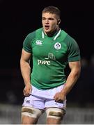 8 February 2019; Scott Penny of Ireland during the U20 Six Nations Rugby Championship match between Scotland and Ireland at Netherdale in Galashiels, Scotland. Photo by Brendan Moran/Sportsfile