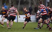 10 February 2019; Robbie Jenkinson of Skerries during the Bank of Ireland Provincial Towns Cup Round 2 match between Skerries RFC and Enniscorthy RFC at Skerries RFC in Skerries, Dublin. Photo by Brendan Moran/Sportsfile