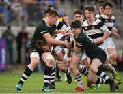 13 February 2019; John Meagher of Belvedere College is tackled by Mark Moynihan of Newbridge College during the Bank of Ireland Leinster Schools Senior Cup Round 2 match between Belvedere College and Newbridge College at Energia Park in Donnybrook, Dublin.  Photo by Eóin Noonan/Sportsfile