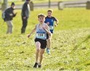 15 February 2019; Sean Lawton from Colaiste Poball Bantry, on his way to winning the Minor Boys 2500m during the Irish Life Health Munster Schools Cross Country event at WIT Sports Campus in Carrignore, Waterford. Photo by Matt Browne/Sportsfile