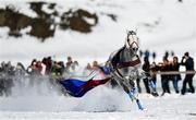 17 February 2019; Zambeso after leaving their driver in the stalls runs during the Grand Prix Credit Suisse skikjöring race at the White Turf horse racing event at St Moritz, Switzerland. Photo by Ramsey Cardy/Sportsfile