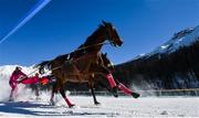 17 February 2019; Usbekia and driver Valeria Holinger during the Grand Prix Credit Suisse skikjöring race at the White Turf horse racing event at St Moritz, Switzerland. Photo by Ramsey Cardy/Sportsfile