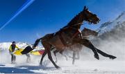 17 February 2019; Sociopath and driver Erich Bottlang during the Grand Prix Credit Suisse skikjöring race at the White Turf horse racing event at St Moritz, Switzerland. Photo by Ramsey Cardy/Sportsfile