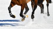17 February 2019; Horses make their way to the post prior to the Longines 80 Grosser Preis von St. Moritz flat race at the White Turf horse racing event at St Moritz, Switzerland. Photo by Ramsey Cardy/Sportsfile