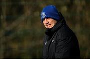 18 February 2019; Backs coach Felipe Contepomi during Leinster Rugby Squad Training at Rosemount in UCD, Dublin. Photo by Piaras Ó Mídheach/Sportsfile